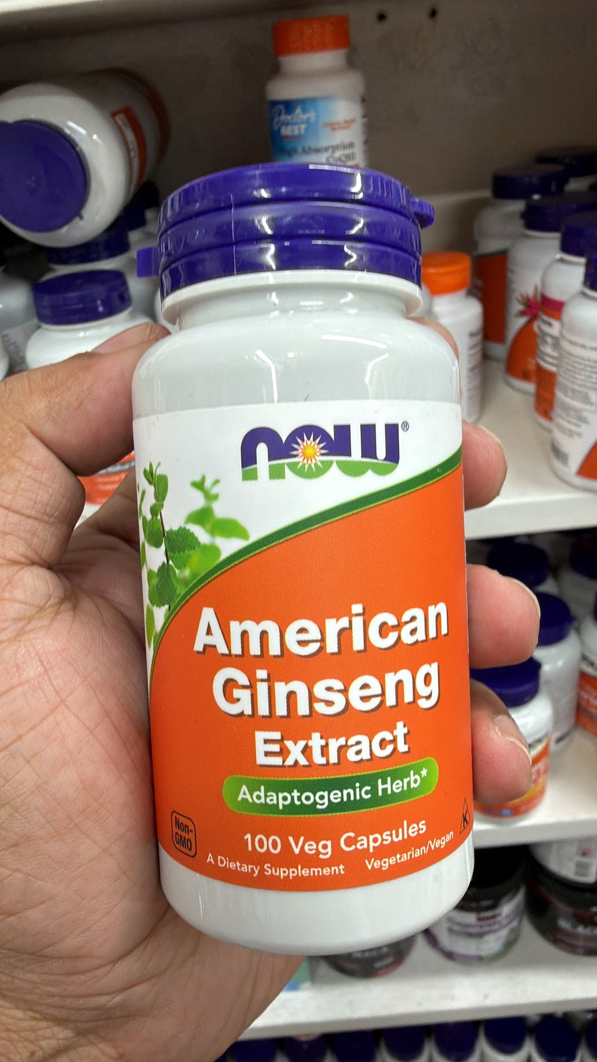 Now American Ginseng Extract 100 Veg Capsules