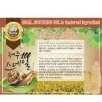 Paxmoly Jeju 100 Snail Soothing Gel – 300gm - Image 2