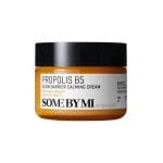 Some By Mi Propolis B5 glow Barrier Calming Cream 60ml